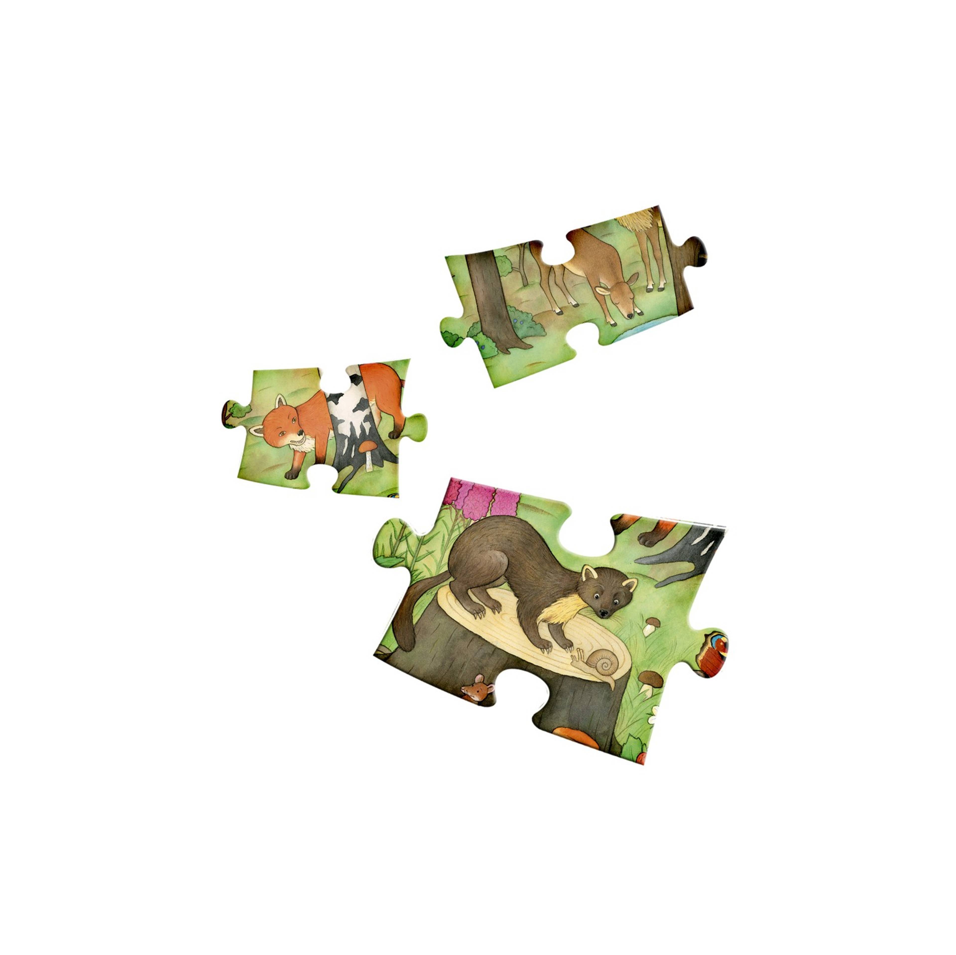 31937_3-20220913-141253.jpg
